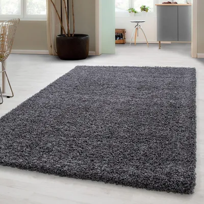 A shaggy rug is placed on a light-colored floor in a room with furniture and plants.