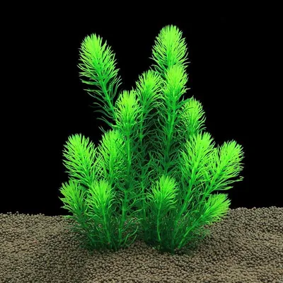 Image de Plantes en plastique pour aquarium - 2 pièces - Vert