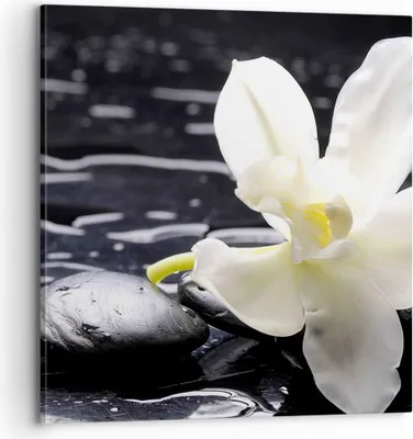 Produktbild von Bild auf Leinwand - Leinwandbild - Spa Orchidee Steine Wasser - 70x70cm - Wand Bild - Wanddeko - Leinwanddruck - Bilder - Kunstdruck - Wanddekoration - Leinwand bilder - Wandkunst - AC70x70-0444