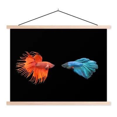 Produktbild von MuchoWow® Textilposter Fische - Wilde Tiere - Schwarz 40x30 cm mit holzfarbenen Rahmen - Bilder