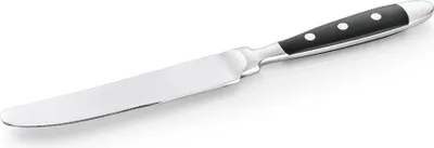 Zdjęcie produktu dla Nóż do menu z plastikowym uchwytem 21,5 cm, Bistro, stal chromowa 18/0