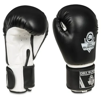 Obrázok produktu pre Boxerské rukavice DBX BUSHIDO ARB-407a 14oz.