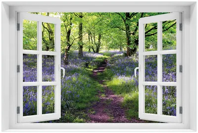 Produktbild von Wallario Premium Glasbild mit Fensterrahmen, freischwebende Optik, kräftige Farben, Größe 60 x 90 cm Motiv Blaues Hasenglöckchen im Wald