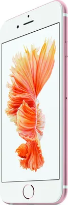 Produktbild von Apple iPhone 6s Plus, 14 cm (5.5"), 1920 x 1080 Pixel, 16 GB, 12 MP, iOS 10, Silber