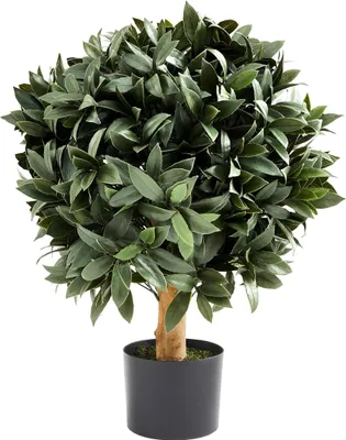 Produktbild von aplanta Künstlicher Lorbeerbaum – Vaelis | 75 cm, Echtholzstamm, UV-beständig, für draußen, Kunstbaum, wie echt, Allergiker geeignet, pflanzliche Dekoration Praxis, Office & Wohnzimmer