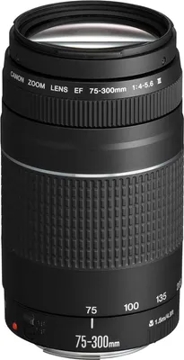 Zdjęcie produktu dla Canon - Teleobiektyw zmiennoogniskowy - 75 mm - 300 mm - f/4.0-5.6 III - Canon EF - do EOS 100, 1200, 1300, 1D, 5D, 5DS, 6D, 70, 700, 750, 760, 7D, 80, 8000, Kiss X8i, Rebel T6s (6473A015)