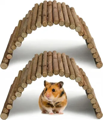 Productafbeelding van Hamsterspel van hout L, set van 2, brug en tunnel, voor knaagdier