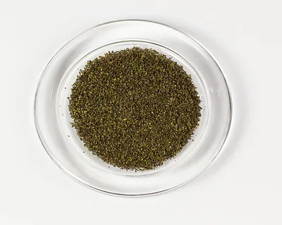 A pile of ground nettle seeds on a clear glass plate against a white background.