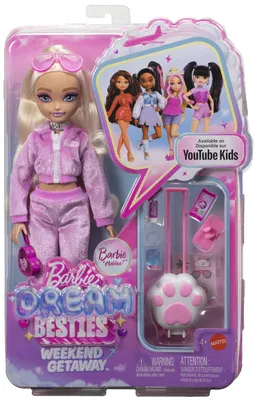 Immagine prodotto di Barbie Dream Besties JMV16, bambola alla moda, per bambine, dai 4 anni, altezza: 298 mm, multicolore