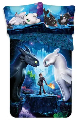 Produktbild von Leinen inklusive How to Train Your Dragon 140x200, 70x90 cm
