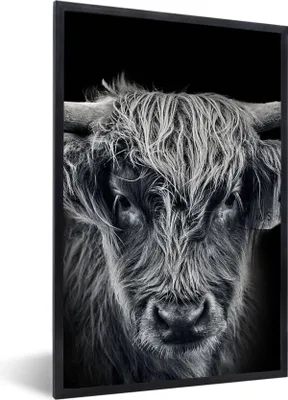 Produktbild von MuchoWow® Gerahmtes Poster Schottischer Highlander - Schwarz - Kuh - Tiere 60x90 cm - Poster mit Schwarzem Bilderrahmen Wandposter Rahmen Foto Bilder - Kunst