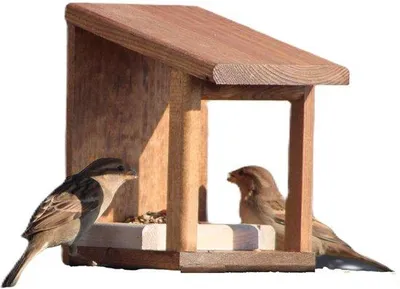Produktbild von Famanu Vogelhaus mit Futterstation und Vogelfutter – Wetterfestes Design