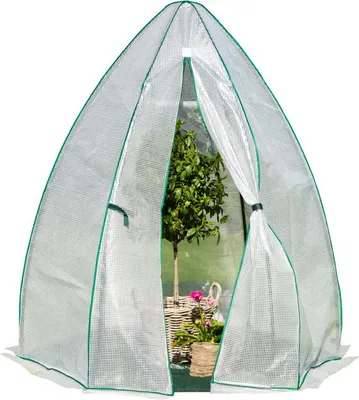 A greenhouse tent with a small tree and potted plants inside.