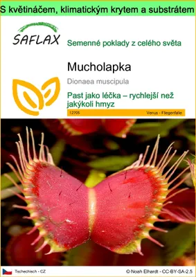 Obrázek produktu pro SAFLAX Garden to go - Mucholapka - Dionaea muscipula - 10 Semena - S květináčem, klimatickou poklicí a pěstebním substrátem