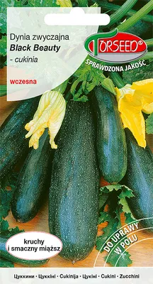 Produktbild von Samen von Zucchini Black Beauty früh 2g - Torseed