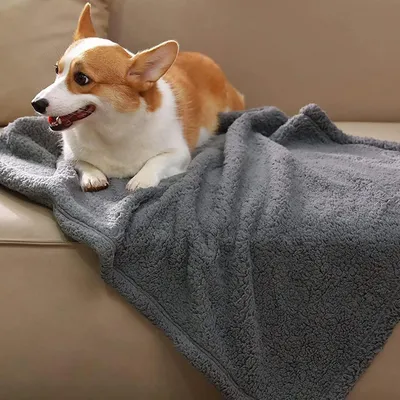 Immagine prodotto di Coperta impermeabile per cani, morbida, grigia, dimensioni 105x165 cm
