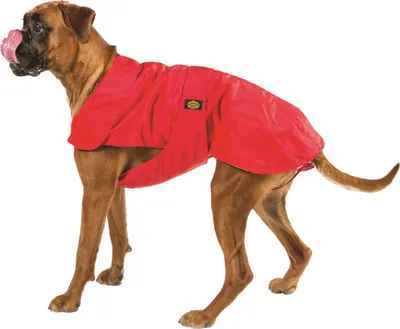 Produktbild von Fashion Dog Hundemantel speziell für Boxer - rot - 60 cm