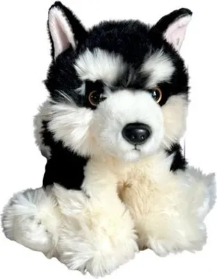 Productafbeelding van DUBI PLUSZ malamut, pluchen hond, 28 cm, artikelnummer 11745