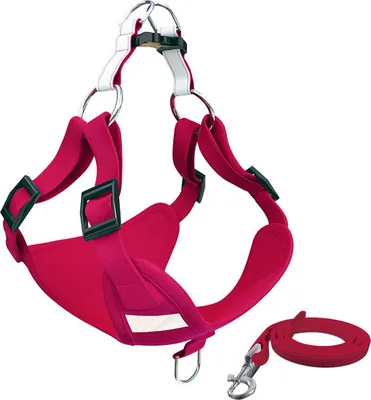Image de Ceinture de sécurité pour chien, ceinture de voiture pour animal de compagnie Ceinture de siège de véhicule avec sangle réglable et clip de boucle/mousqueton Rose Rouge / S