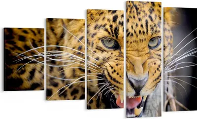 Produktbild von Bild auf Leinwand - Leinwandbild - Leopard tier savanne afrika - 100x60cm - Wand Bild - Wanddeko - Leinwanddruck - Bilder - Kunstdruck - Wanddekoration - Leinwand bilder - Wandkunst - EG100x60-2728