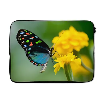 Produktbild von MuchoWow® Laptop Hülle 14 ZollSchmetterling - Blume - Tier - Insekt Laptoptasche - Laptoptasche - Stoßsicher - Schutzhaube