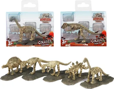 Produktbild von Dinosaurierfossil Saurus Fossil