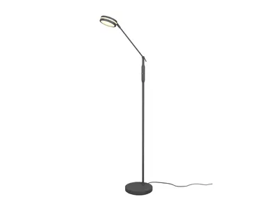 Immagine prodotto di Lampada a stelo LED FRANKLIN antracite di Trio 426510142