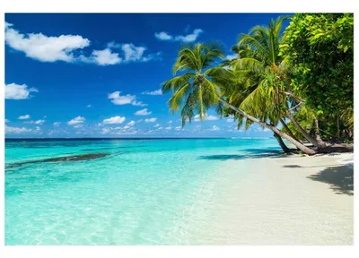 Zdjęcie produktu dla Fototapeta Dimex MS-5-0215 Rajska plaża 375 x 250 cm