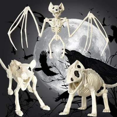 Produktbild von 1 Stück grauenhafte Halloween-Fledermaus-Skelett-Simulation, realistische Fledermaus-Halloween-Accessoires, Tierskelett für Halloween-Dekoration, Fledermaus