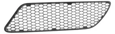 Productafbeelding van Grill Rechtsvoor - Auto Onderdeel - Voertuig Herstel - Gecertificeerd - 50 x 13 cm - Zwart