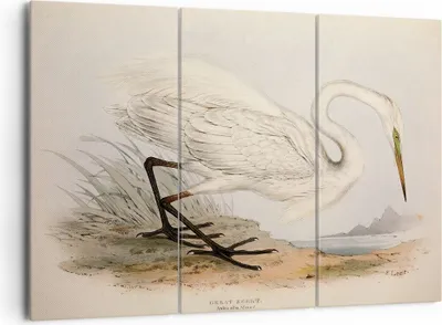 Produktbild von Bild auf Leinwand - Leinwandbild - 3 Teile - Vogel Weiß Reiher - 165x110cm - Wand Bild - Wanddeko - Wandbilder - Leinwanddruck - Bilder - Wanddekoration - Leinwand bilder - Wandbild - CE165x110-4979