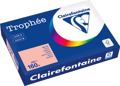 Obrázek produktu pro Clairefontaine Kopierpapier 1049PC A4 160g pfirsich 250Bl