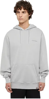 Produktbild von DICKIES PLENTYWOOD HOODIE ULTI Grau