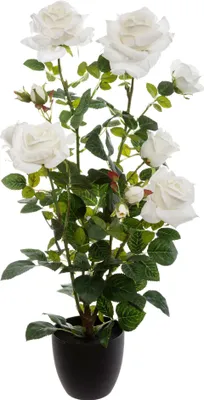 Produktbild von Kunstpflanze im Topf STRAUCHROSE, 74 cm, weiß