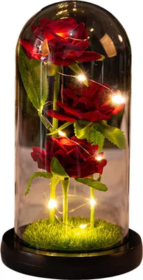 Produktbild von Konservierte Rose in Glaskuppel, LED-Beleuchtung, ewige Blume, romantische Forever-Rose, Geschenk für Frauen, Valentinstag, Muttertag