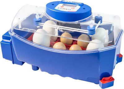 Obrázek produktu pro Borotto Brutapparat - 8 vajec - plně automatické