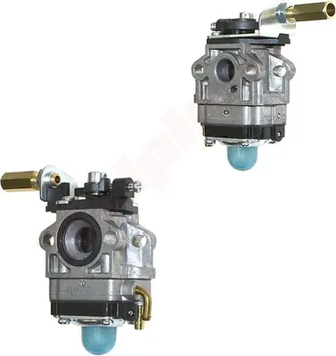 Immagine prodotto di Carburatore Per Echo Srm2400 , Srm2601 , Srm2610 ( 12300057731 , Wyj-192 , Wyj-220 )