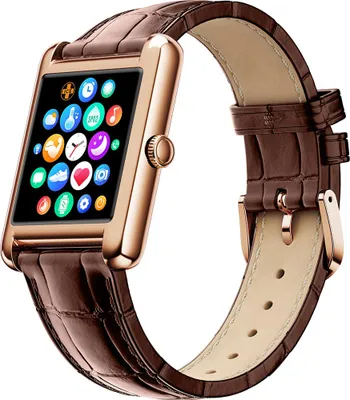 Image de Ice Smart Tk 2.0.rose Gold Brown Croco. - Ice Watch