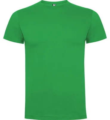 Productafbeelding van Roly - "Dogo" T-shirt voor kinderen, model LT5236 (128) (Iersgroen)