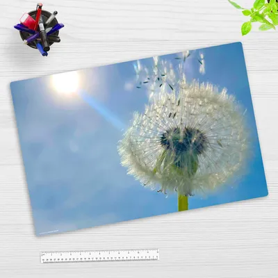 Produktbild von Schreibtischunterlage für Kinder und Erwachsene - Pusteblume im Sonnenschein - 60 x 40 cm - aus Premium Vinyl -  Germany