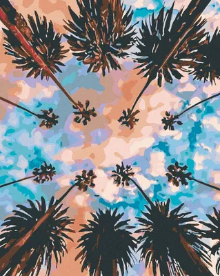 Produktbild von Zuty - Malen nach Zahlen - HIMMEL ÜBER DEN PALMEN, 40x50 cm, mit Keilrahmen (bereits gespannt)