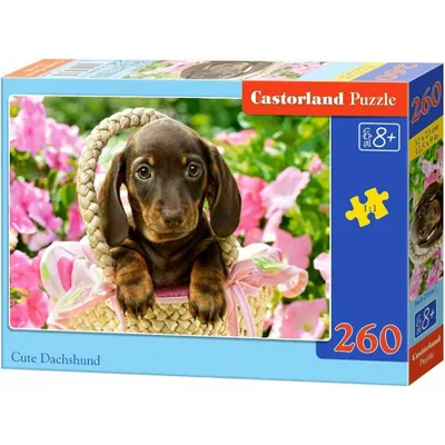 Zdjęcie produktu dla Puzzle 260 elementów „Szczeniak” 27514
