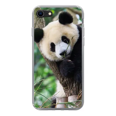 Produktbild von MuchoWow® Handyhülle Schutzhülle Hülle für iPhone SE 2022 Panda - Tiere - Dschungel - Natur Silikon Softcase Handy Hülle - Schutzhülle