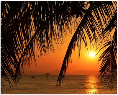 Produktbild von Wallario XXL Outdoor-Poster für Garten oder Balkon, Motiv Sonnenuntergang unter Palmenblättern, in ca. 250 x 200 cm