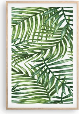 Produktbild von Gerahmtes Poster - Rahmen in heller Eiche - Palme Blatt grün - 61x91,5 cm - Wand Bild - Wanddeko - Wandbilder - Kunstposter - Wandposter - Bilderrahmen - Bilder - Kunstdruck - Wandbild P2NPA61x91-3777