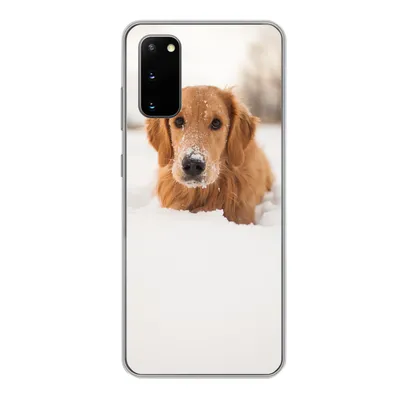 Produktbild von MuchoWow® Handyhülle Schutzhülle Hülle für Samsung Galaxy S20 Hund - Schnee - Winter Silikon Softcase Handy Hülle - Bild
