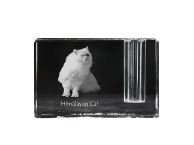 Productafbeelding van Himalayaanse kristallen pennenhouder met kat Art-Dog