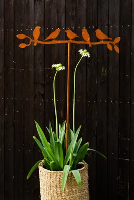 Produktbild von 3er Edelrost Vögel auf Zweig Garten rostige Gartendeko Gartendekoration