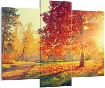 Produktbild von Bild auf Leinwand - Leinwandbild - Park Herbst Baum - 130x100cm - Wand Bild - Wanddeko - Leinwanddruck - Bilder - Kunstdruck - Wanddekoration - Leinwand bilder - Wandkunst - CB130x100-3654