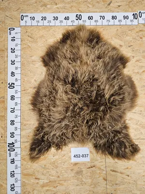 Produktbild von Schaffell Naturfarbe Unikat 452-037